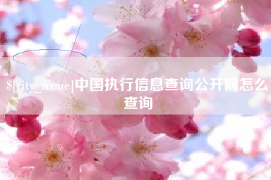 辽宁中国执行信息查询公开网怎么查询