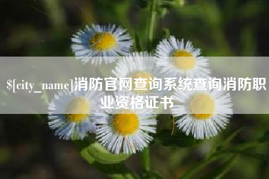 辽宁消防官网查询系统查询消防职业资格证书