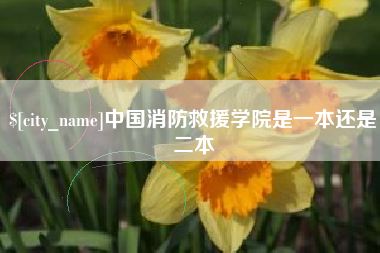 辽宁中国消防救援学院是一本还是二本