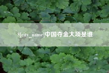 辽宁中国夺金大项是谁
