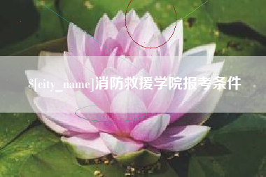 辽宁消防救援学院报考条件
