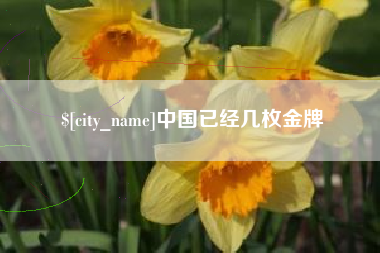 辽宁中国已经几枚金牌