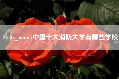 辽宁中国十大消防大学有哪些学校