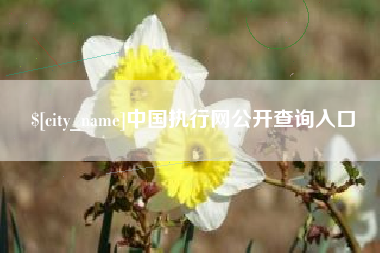辽宁中国执行网公开查询入口