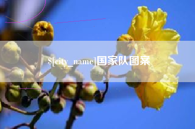 辽宁国家队图案