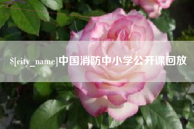 辽宁中国消防中小学公开课回放