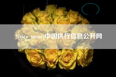 辽宁中国执行信息公开网