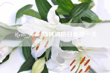 辽宁森林消防日是哪一天
