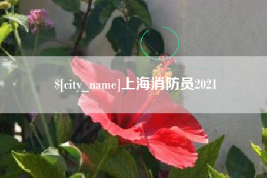 辽宁上海消防员2021
