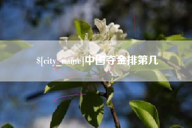 辽宁中国夺金排第几
