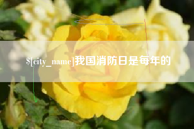 辽宁我国消防日是每年的