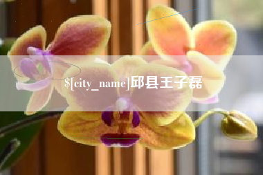 辽宁邱县王子磊