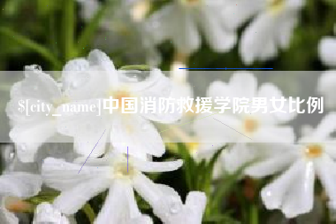 辽宁中国消防救援学院男女比例