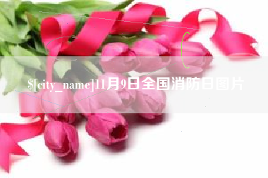 辽宁11月9日全国消防日图片