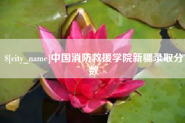 辽宁中国消防救援学院新疆录取分数