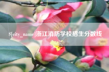 辽宁浙江消防学校招生分数线