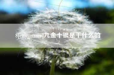 辽宁九金十银是干什么的