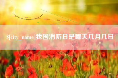 辽宁我国消防日是哪天几月几日