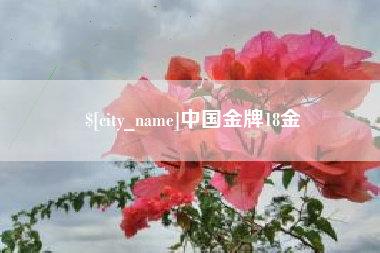 辽宁中国金牌18金
