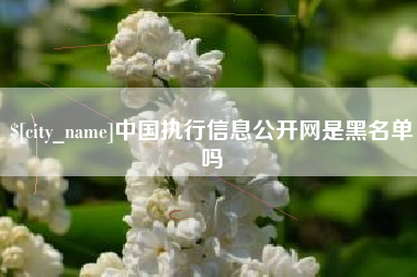 辽宁中国执行信息公开网是黑名单吗