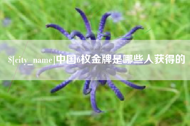 辽宁中国6枚金牌是哪些人获得的