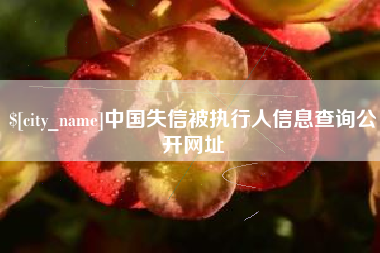 辽宁中国失信被执行人信息查询公开网址