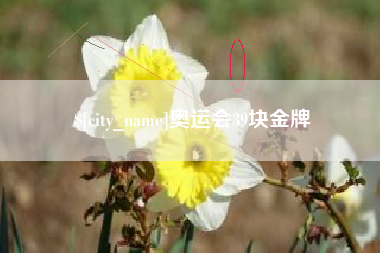 辽宁奥运会39块金牌