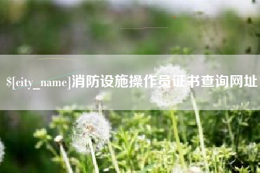 辽宁消防设施操作员证书查询网址