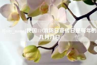辽宁我国119消防日宣传日是每年的几月几日