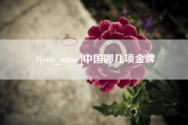 辽宁中国哪几项金牌