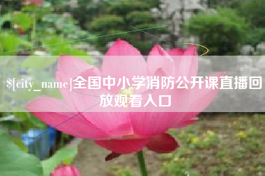 辽宁全国中小学消防公开课直播回放观看入口