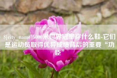 辽宁5000米世界冠军穿什么鞋-它们是运动员取得优异成绩背后的重要“功臣”