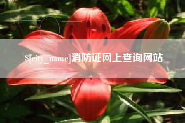 辽宁消防证网上查询网站