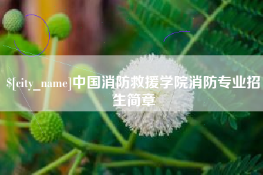 辽宁中国消防救援学院消防专业招生简章