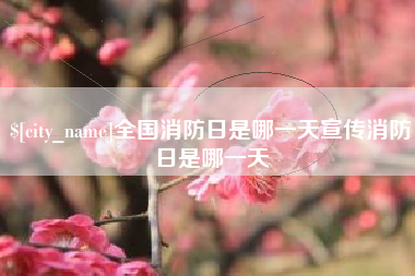 辽宁全国消防日是哪一天宣传消防日是哪一天