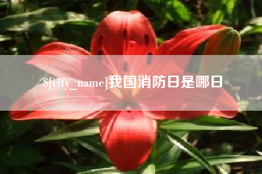 辽宁我国消防日是哪日