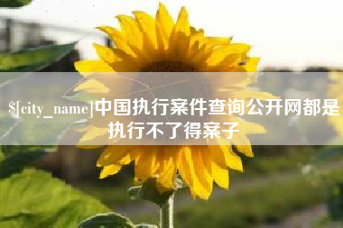 辽宁中国执行案件查询公开网都是执行不了得案子