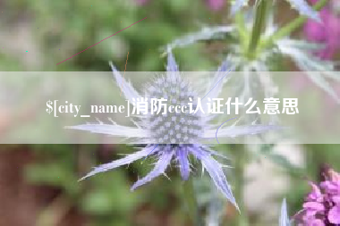 辽宁消防ccc认证什么意思
