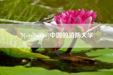 辽宁中国的消防大学