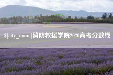 辽宁消防救援学院2020高考分数线
