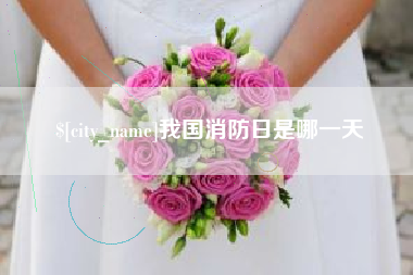 辽宁我国消防日是哪一天