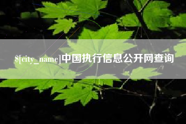 辽宁中国执行信息公开网查询