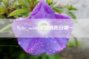 辽宁全国消防日哪一