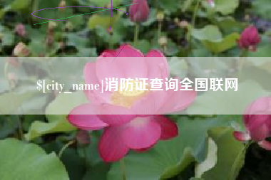 辽宁消防证查询全国联网