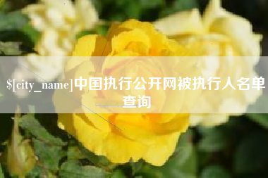 辽宁中国执行公开网被执行人名单查询