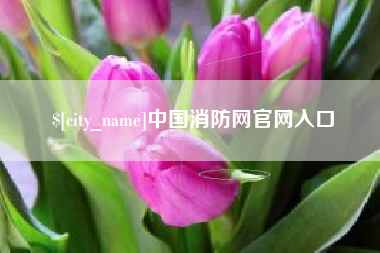 辽宁中国消防网官网入口
