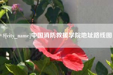 辽宁中国消防救援学院地址路线图