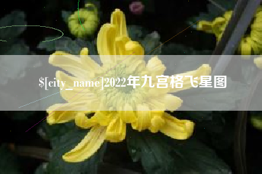 辽宁2022年九宫格飞星图
