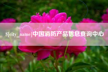 辽宁中国消防产品信息查询中心