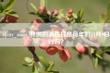 辽宁我国的消防日是每年的11月9日对吗？